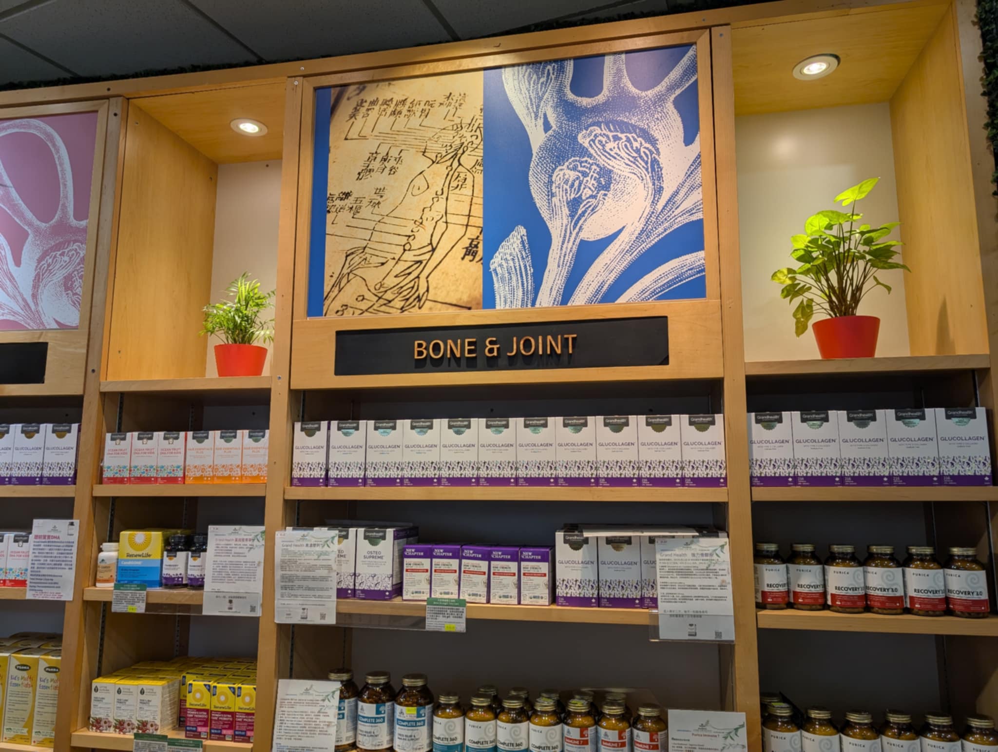 Bone & Joint