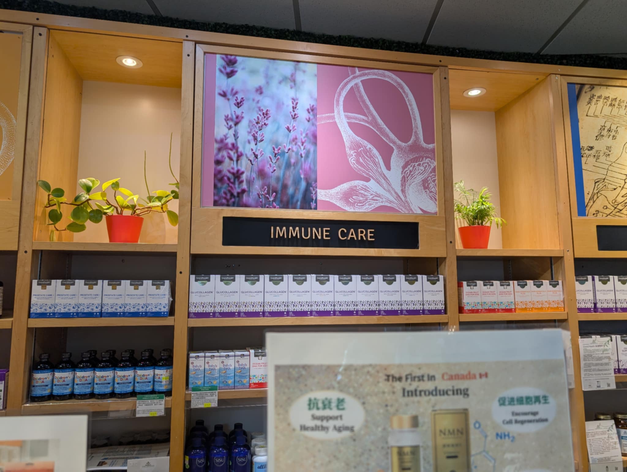 Immune Support
