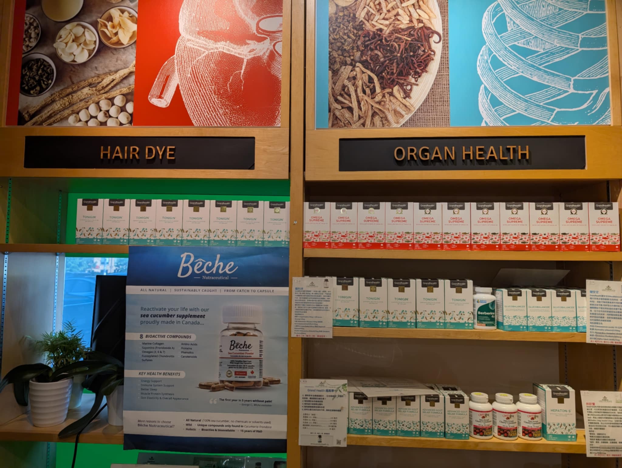 Hair & Organ Care